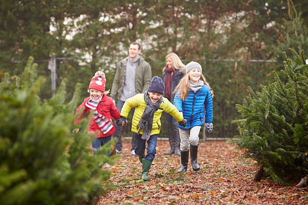 istock Outdoor Family Choosing Christmas Tree Together 500767821