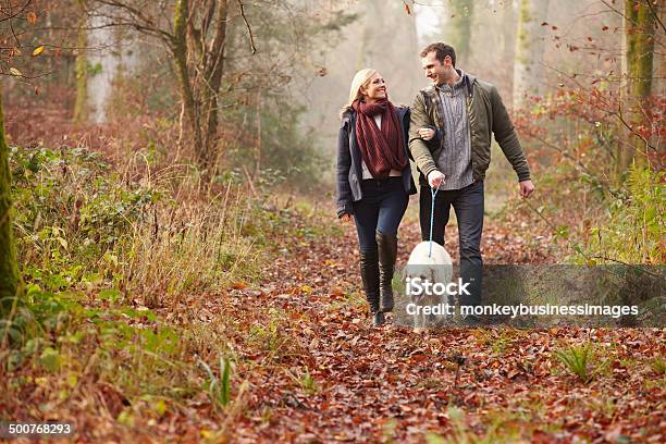 Couple Walking Dog Through Winter Woodland Stock Photo - Download Image Now - Dog Walking, Walking, Couple - Relationship