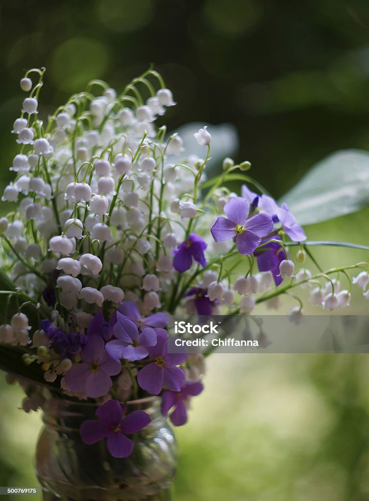 Bouquet mit Lilien des valley - Lizenzfrei Blatt - Pflanzenbestandteile Stock-Foto