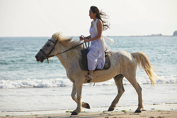istock woman riding horse on beach 500769627