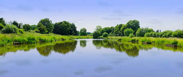 river sunlight green vegetation alongside banks - river avon warwick county town of warwickshire in the english midlands uk