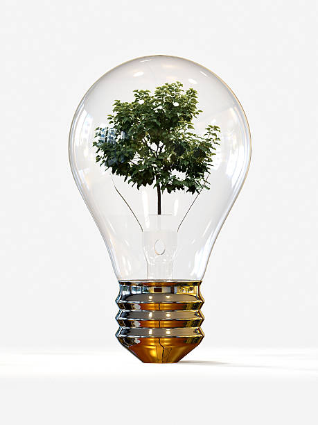 istock Bring Your Ideas to Frooition 500771041