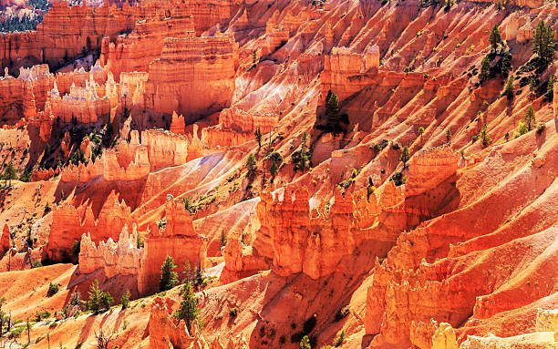 istock red sandstones in Bryce Canyon National Park 500774326