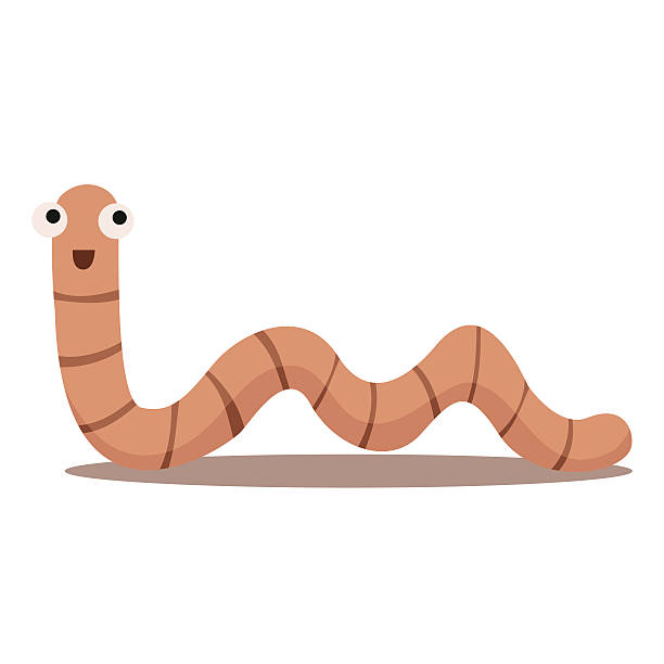 Illustrator Of Earthworm One Stock Illustration - Download Image