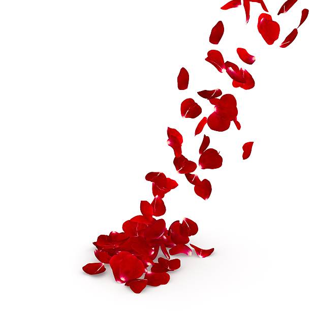 istock Red rose petals flying on the floor 500778318