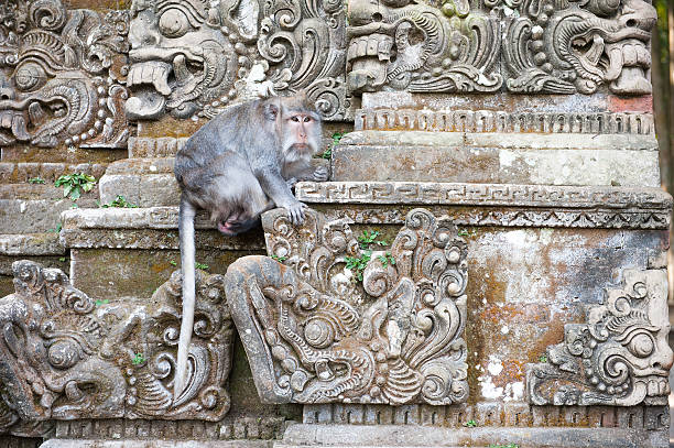 istock Monkey on stone carving in Bali,Indonesia. 500779090