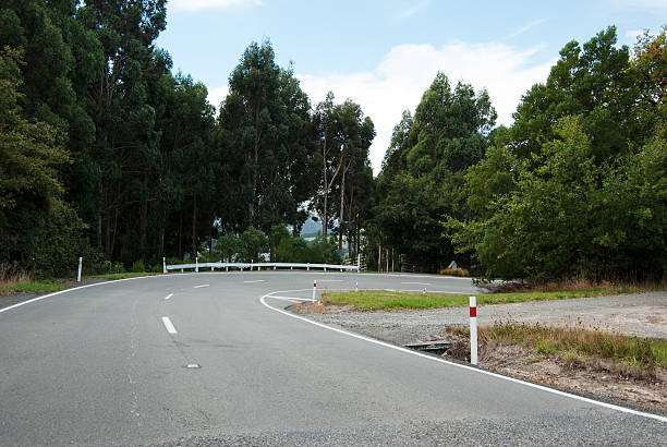 istock Curved road with green trees on the side 500780710