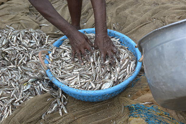 istock Traditional fishing 500782326