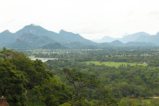 istock Sigirya rock view with hills against sky Sri Lanka 500783692