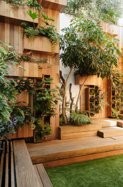 istock Trees and plants growing along wooden courtyard 500786129