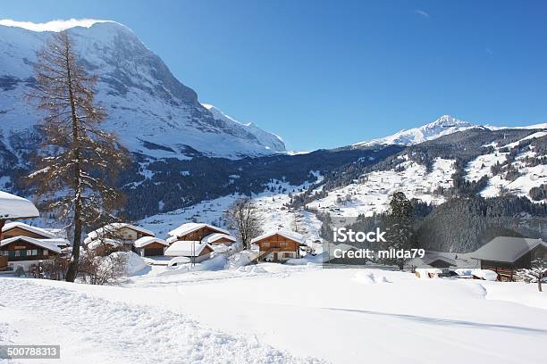 Grindelwald Suiza Foto de stock y más banco de imágenes de Aire libre - Aire libre, Aldea, Alpes Bernese