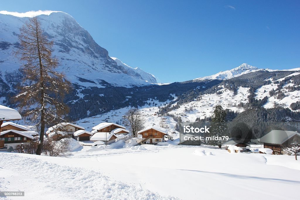 Grindelwald, Szwajcaria - Zbiór zdjęć royalty-free (Alpy)