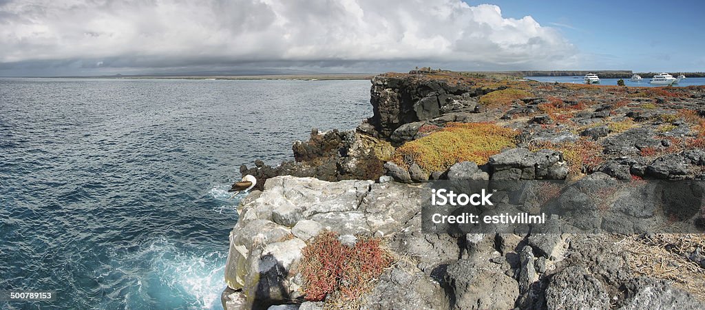 Panoramic view of South Plaza island Panoramic view of South Plaza island, Galapagos, Ecuador Bay of Water Stock Photo