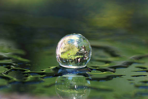 istock Artistic composition of clear marble, wet surface, reflection 500789525