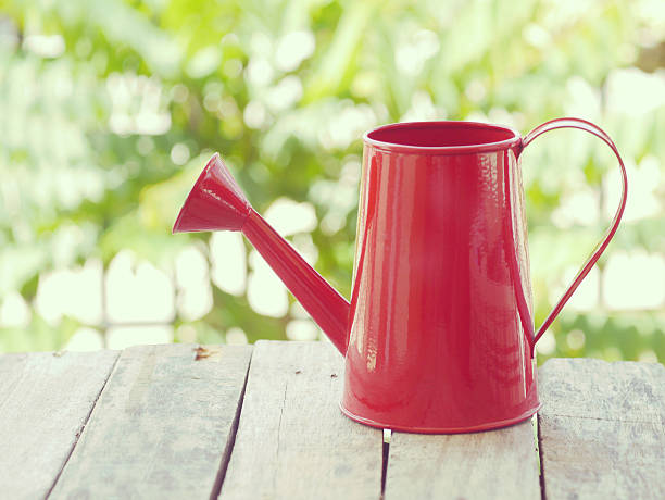 istock Red watering can retro vintage style 500790239