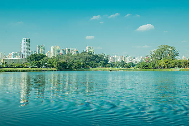 istock Sao Paulo Brazil 500791151
