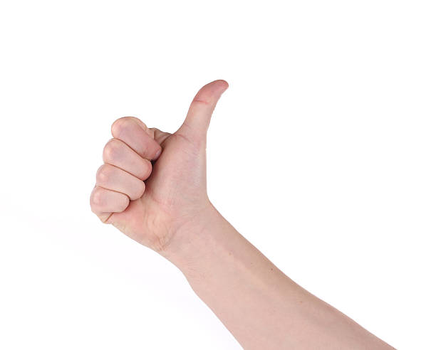 istock Thumb of man hand. 500797986