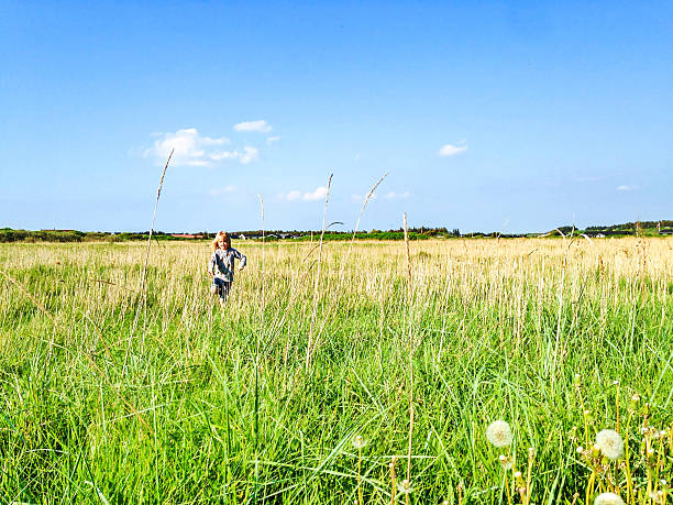 boy running through field, denmark - mobilestock freedom enjoyment blue - fotografias e filmes do acervo