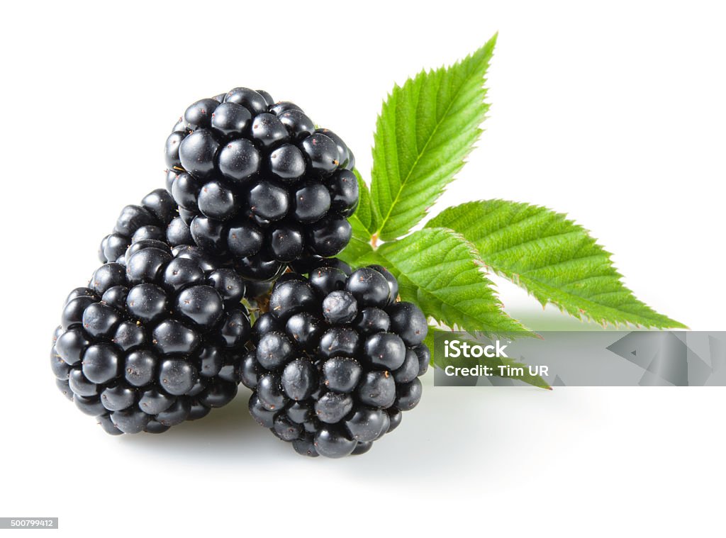 Blackberry with leaves isolated on white. Blackberry - Fruit Stock Photo