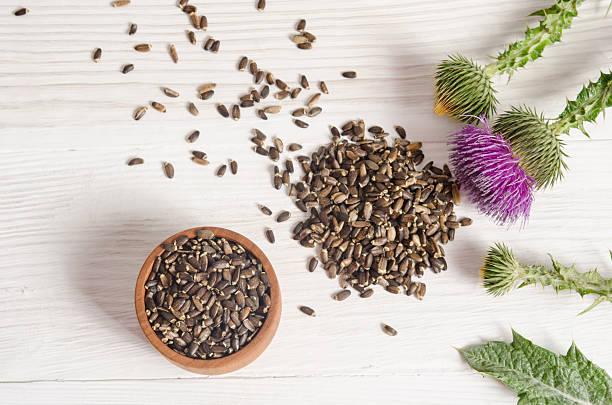 Seeds of a milk thistle with flowers on wooden table stock photo