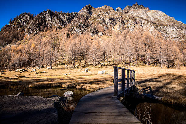 istock wooden bridge Ossola Valley Italy 500801628