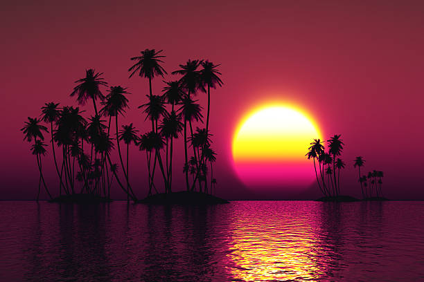 istock coconut islands at sunset 500803223