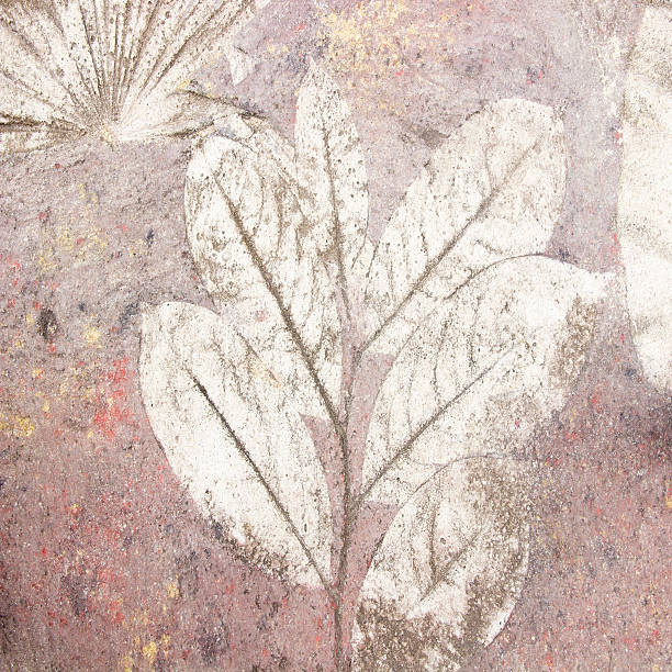istock marks of leaf on the concrete 500803479