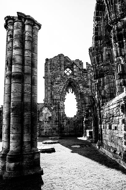 istock Whitby Abbey detail 500803501