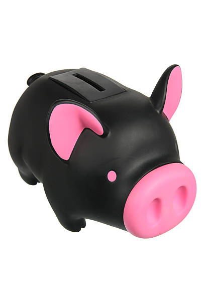 istock Piggy Bank 500803672