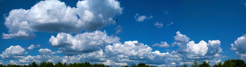 Sky background. Sky and clouds background. Panorama XXL
