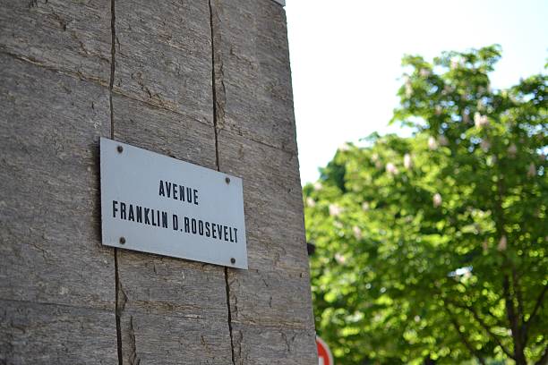 istock Avenue Franklin D. Roosevelt, Paris 500803975