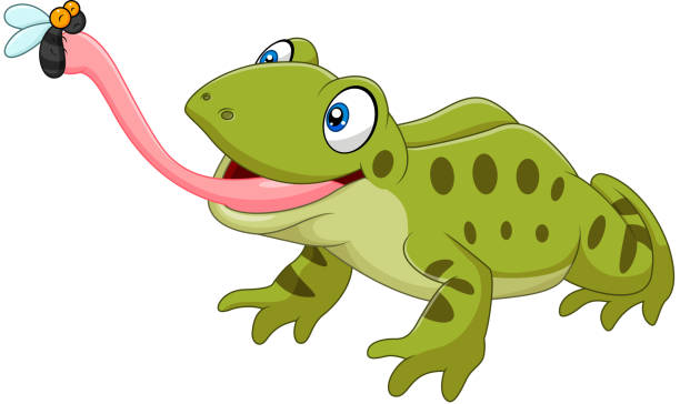 かわいいカエルをひくフライ白背景 - frog animal tongue animal eating点のイラスト素材／クリップアート素材／マンガ素材／アイコン素材