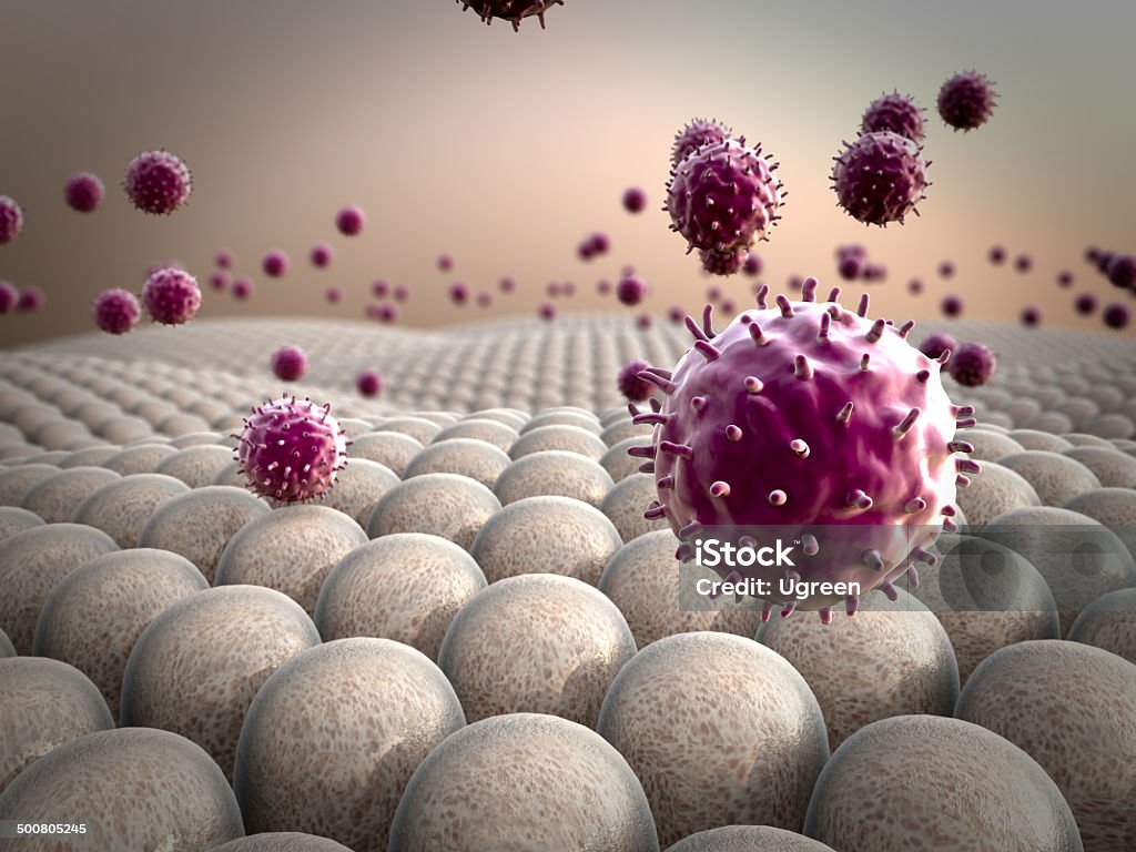 cells, macrophage field of cells, macrophages attack  the cells, viruses  attack  the cells, action  of the human immune system Biological Cell Stock Photo