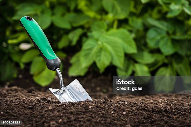 Gardening Shovel In The Soil Stock Photo - Download Image Now - Agriculture, Botany, Care