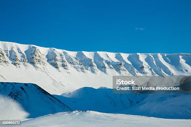 Beautiful White Snowy Landscape Stock Photo - Download Image Now - 2015, Alaska - US State, Animals In The Wild