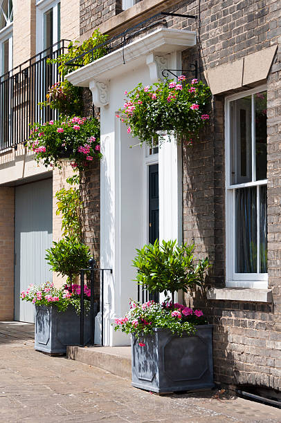 istock Residence front entrance with elegant designs and decorative plants 500806233