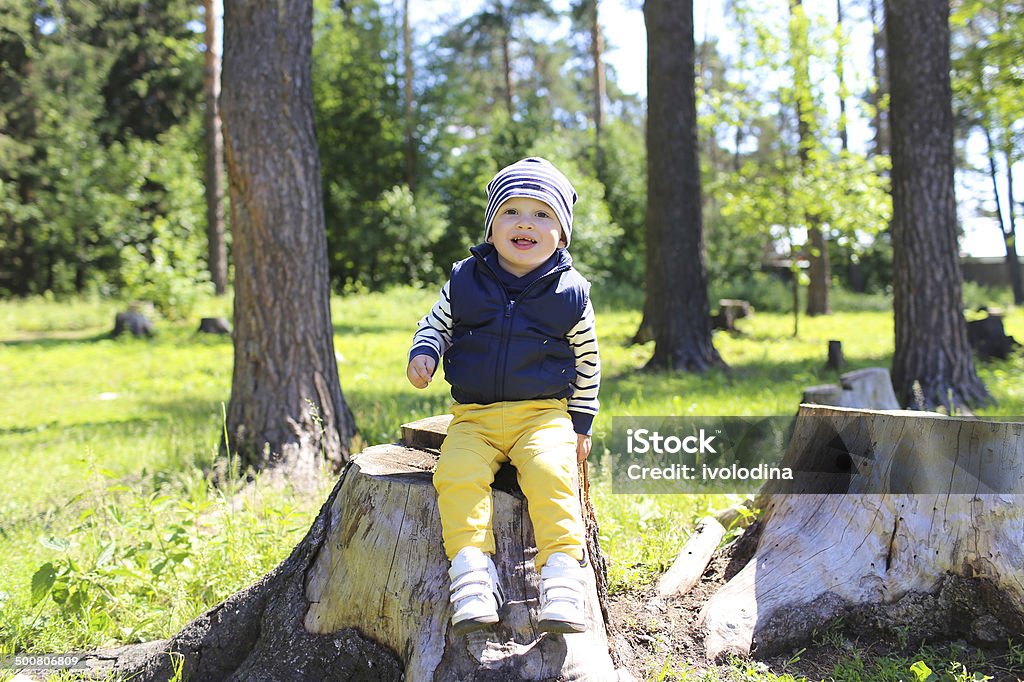 happy baby sitting on stub in forest happy baby age of 21 months sitting on stub in forest 12-23 Months Stock Photo