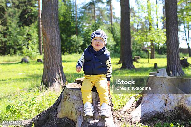 Happy Baby Sitting On Stub In Forest Stock Photo - Download Image Now - 12-23 Months, 18-23 Months, Babies Only