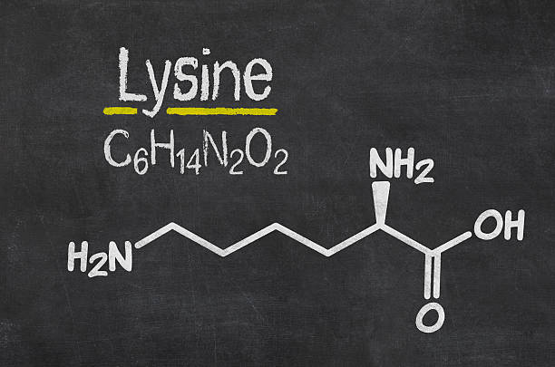 istock Blackboard with the chemical formula of Lysine 500807722