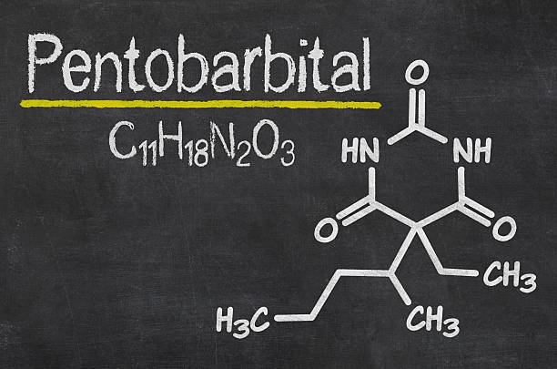 istock Blackboard with the chemical formula of Pentobarbital 500807770