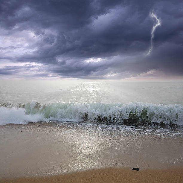 太平洋沿岸ます。 - sea beach storm wave ストックフォトと画像