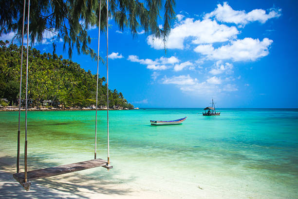 Swing hang from coconut tree over beach, Phangan island ,Thailand Swing hang from coconut tree over beach, Phangan island koh chang stock pictures, royalty-free photos & images