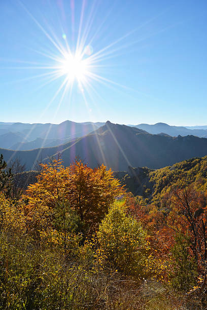 istock Beautiful sunny autumn landscape 500808352