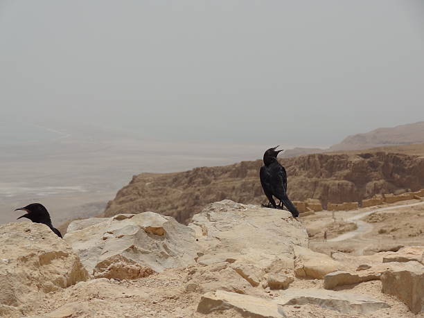 istock Hot day at Masada, Israel 500809902