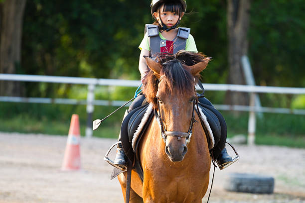 istock child trains horse riding , 500828791