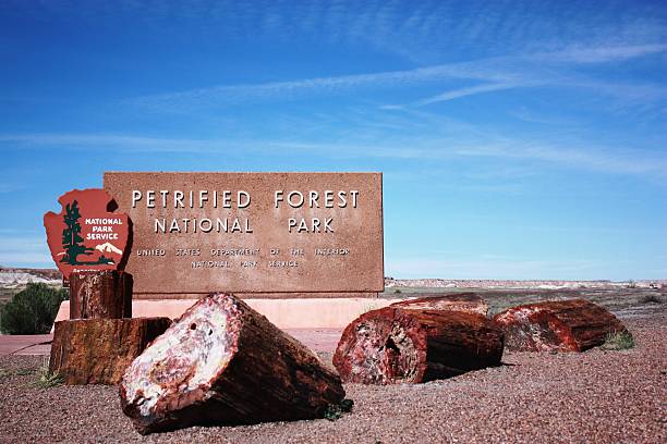 bienvenido al parque nacional del bosque petrificado en arizona, la route 66 - colorado plateau fotografías e imágenes de stock