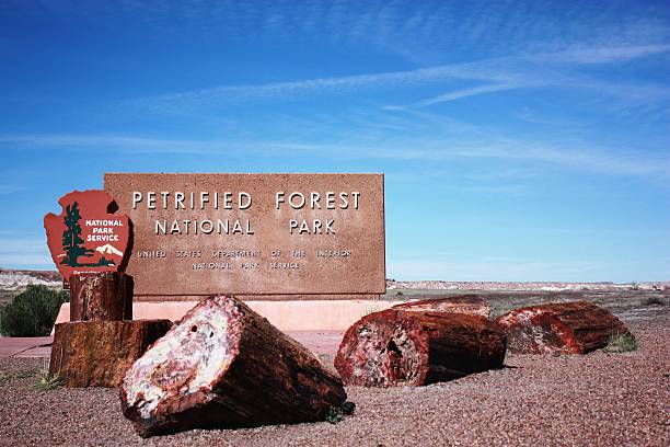 Welcome to Petrified Forest National Park in Arizona, Route 66 Petrified Forest National Park in Arizona, Route 66 USA petrified wood stock pictures, royalty-free photos & images