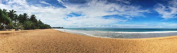 istock Induruwa Beach, Sri Lanka 500831940