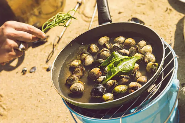 Cooking wild cockles on the beach in Cornwall