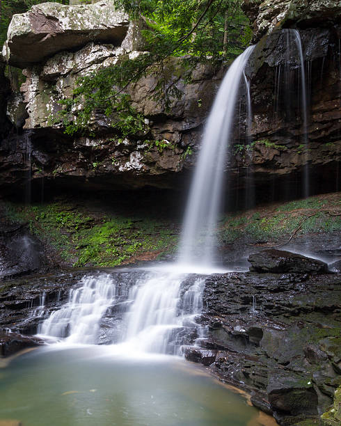 водопад в национальный парк каньона cloudland в грузии - tennessee waterfall stream forest стоковые фото и изображения